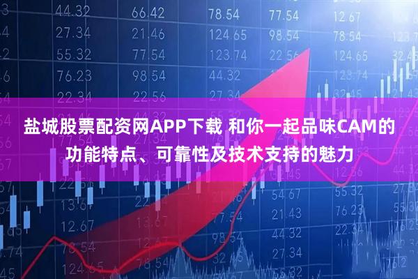 盐城股票配资网APP下载 和你一起品味CAM的功能特点、可靠性及技术支持的魅力