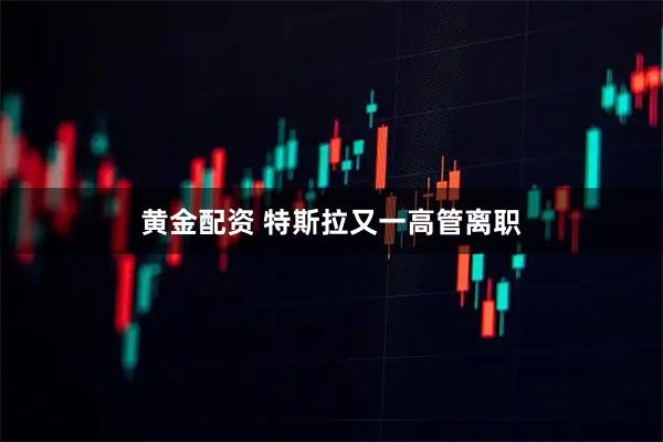 黄金配资 特斯拉又一高管离职